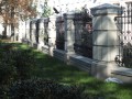 DSCF1900